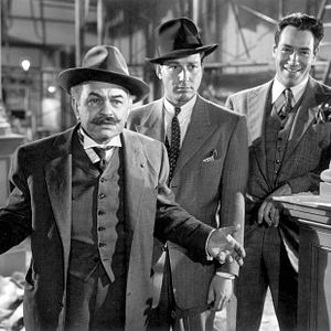 Bilder Blutsfeindschaft