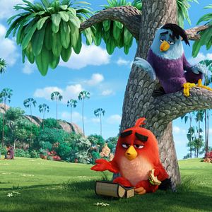 Bilder Angry Birds - Der Film