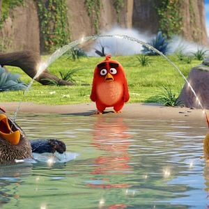 Bilder Angry Birds - Der Film
