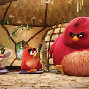 Bilder Angry Birds - Der Film