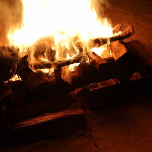 Bilder The Taking Of Deborah Logan