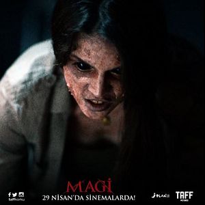 Bilder Magi
