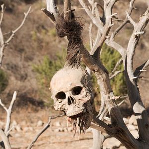 Bilder Bone Tomahawk