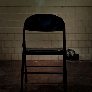 Bilder The Fear Of 13