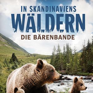 Bilder In Skandinaviens Wäldern - Die Bärenbande