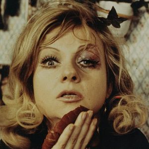 Bilder Was sehe ich...! Was sehe ich...!