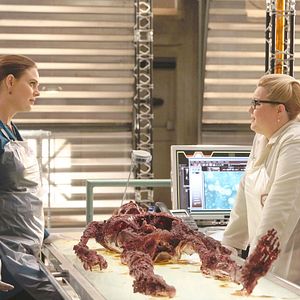 Bilder Emily Deschanel