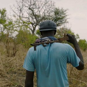 Bilder Wrong Elements