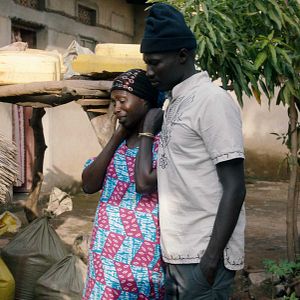 Bilder Wrong Elements