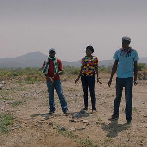 Bilder Wrong Elements