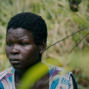 Bilder Wrong Elements