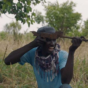 Bilder Wrong Elements