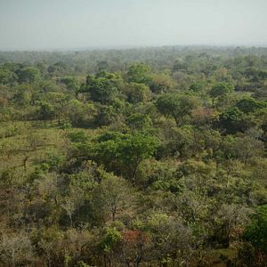 Bilder Wrong Elements