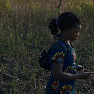 Bilder Wrong Elements