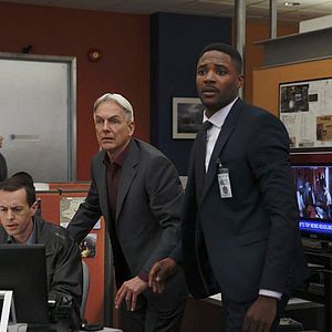 Bilder Emily Wickersham