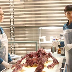 Bilder Tamara Taylor