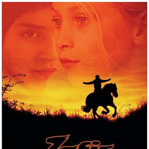 Bilder Zafir - Der schwarze Hengst