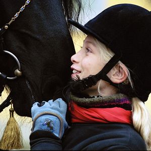 Bilder Zafir - Der schwarze Hengst