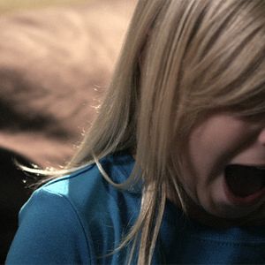 Bilder Taylor Pigeon