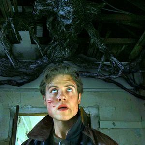 Bilder Reilly Dolman