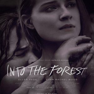 Bilder Into The Forest