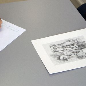 Bilder Wie die anderen