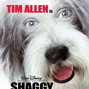 Bilder The Shaggy Dog