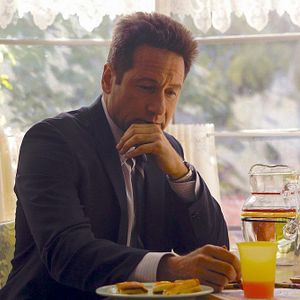 Bilder David Duchovny