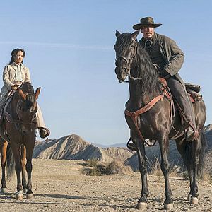 Bilder Josh Hartnett