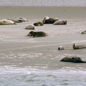 Bilder Deutschland. Dein Selbstporträt