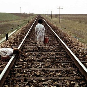 Bilder Der Geist des Bienenstockes