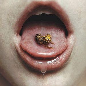 Bilder Dead Of Summer