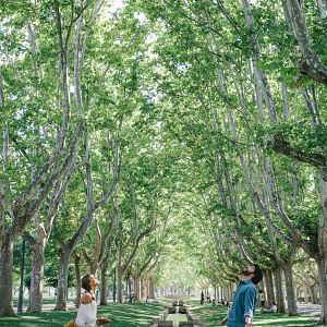 Bilder Verlieb dich nicht in mich