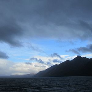 Bilder Der Perlmuttknopf