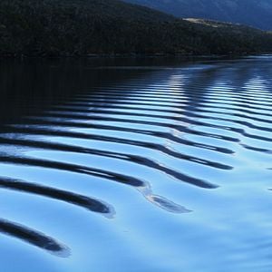 Bilder Der Perlmuttknopf