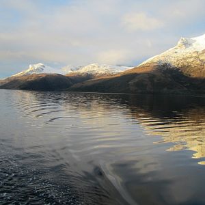 Bilder Der Perlmuttknopf