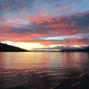 Bilder Der Perlmuttknopf