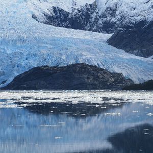 Bilder Der Perlmuttknopf