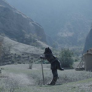 Bilder Wolf And Sheep