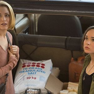 Bilder Into The Forest