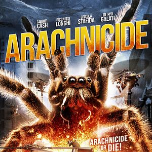 Bilder Arachnicide