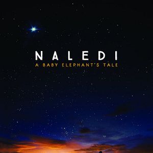 Bilder Naledi - Ein Elefantenleben