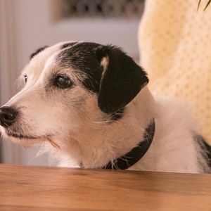 Bilder Inspector Barnaby