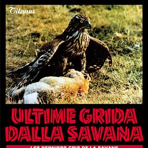 Bilder Mondo Bestiale - Der letzte Schrei des Dschungels