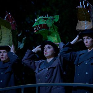 Bilder Des Königs Zauberflöte