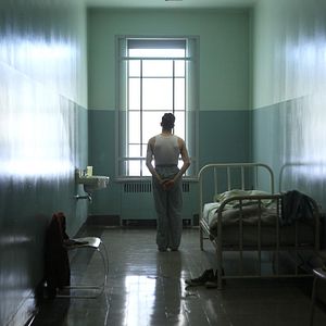 Bilder Elephant Song