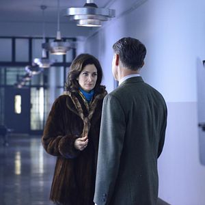 Bilder Elephant Song