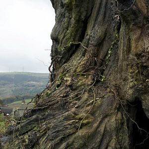 Bilder Lewis MacDougall