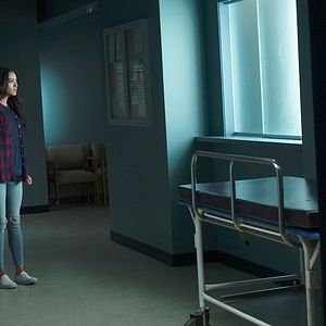 Bilder Shay Mitchell