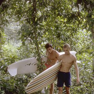 Bilder The Endless Summer